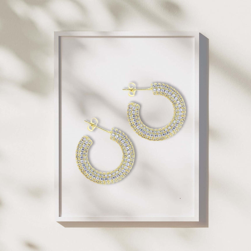 Loni zirkonia oorringen goud