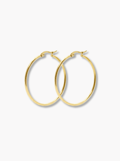 Iefe stainless steel oorringen goud