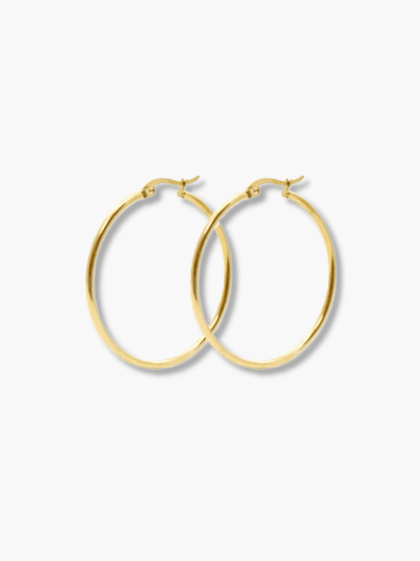 Iefe stainless steel oorringen goud